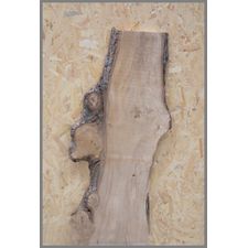 Native Lime 1150mm x 500mm x 30mm