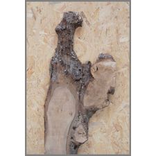 Native Lime 1200mm x 500mm x 25mm