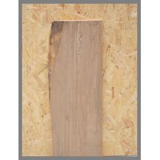 Native Spalted Beech 900mm x 340mm x 25mm