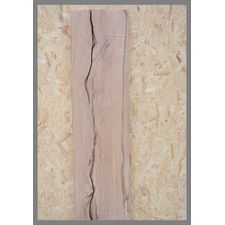 Native Spalted Beech 1450mm x 390mm x 25mm