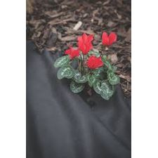 WEED CONTROL FABRIC HEAVY DUTY 2mt. x 50mt.